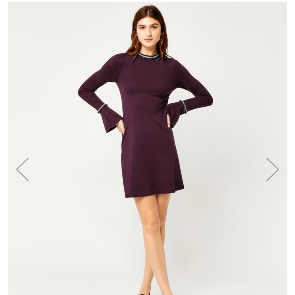 EMBELLISHED FLARE CUFF DRESS